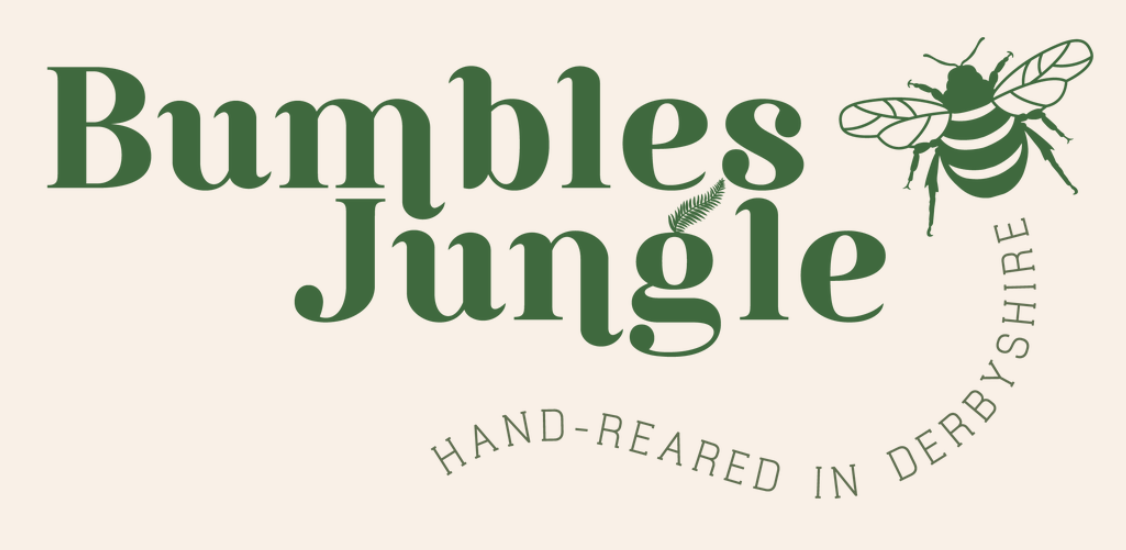 Bumbles Jungle